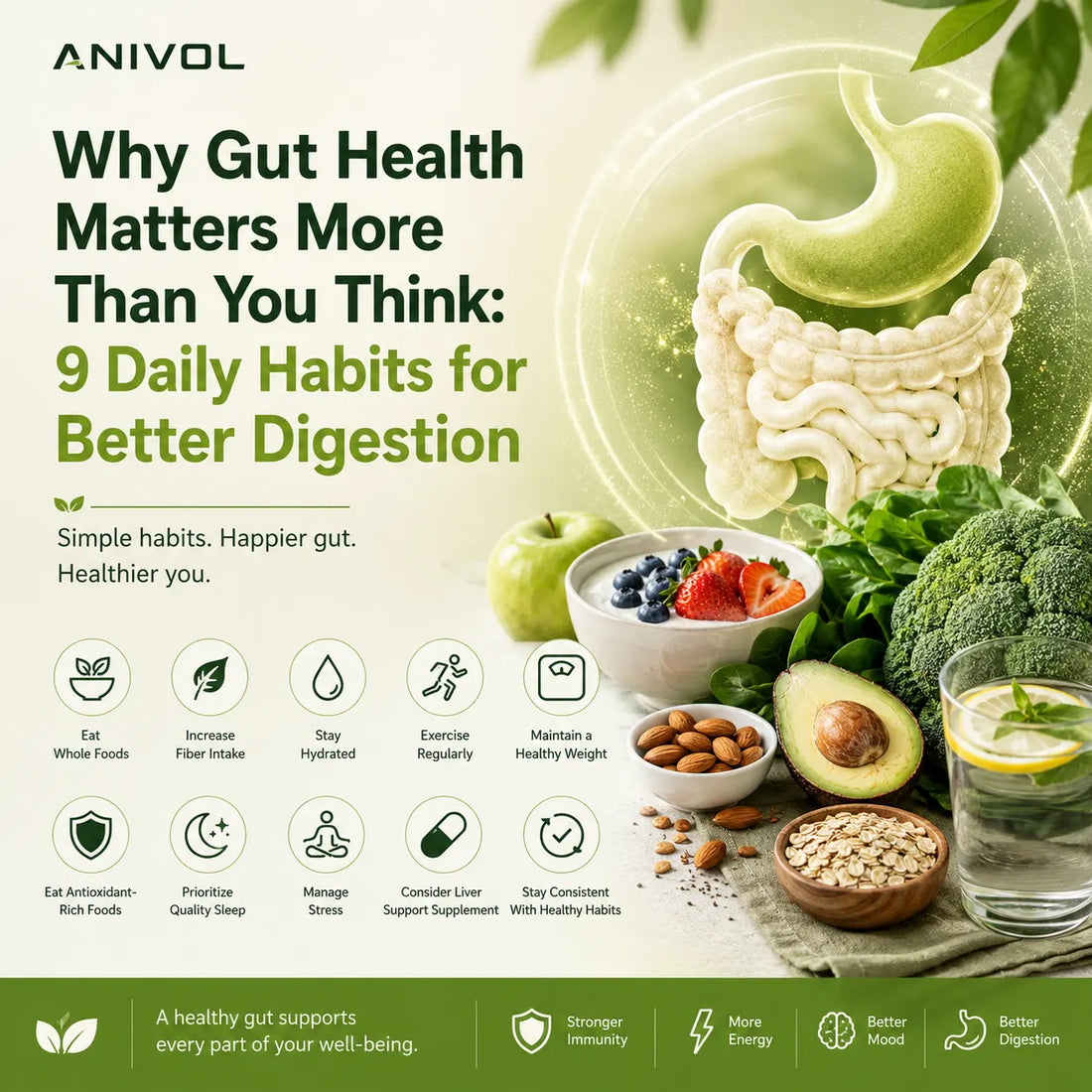 Why Gut Health Matters More Than You Think: 9 Daily Habits for Better Digestion