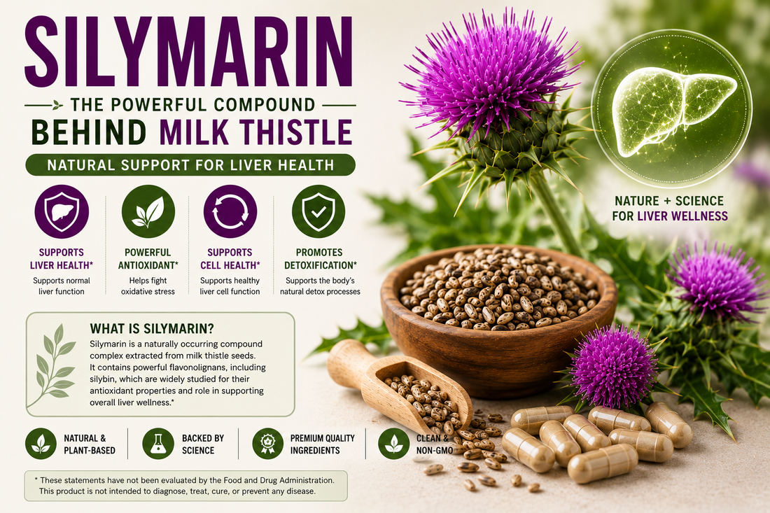 Silymarin: Benefits, Uses, Dosage & How It Supports Liver Health