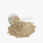 Anivol Plant-Based Protein Powder (Vanilla) | Dairy-Free, Soy-Free, 20g Protein