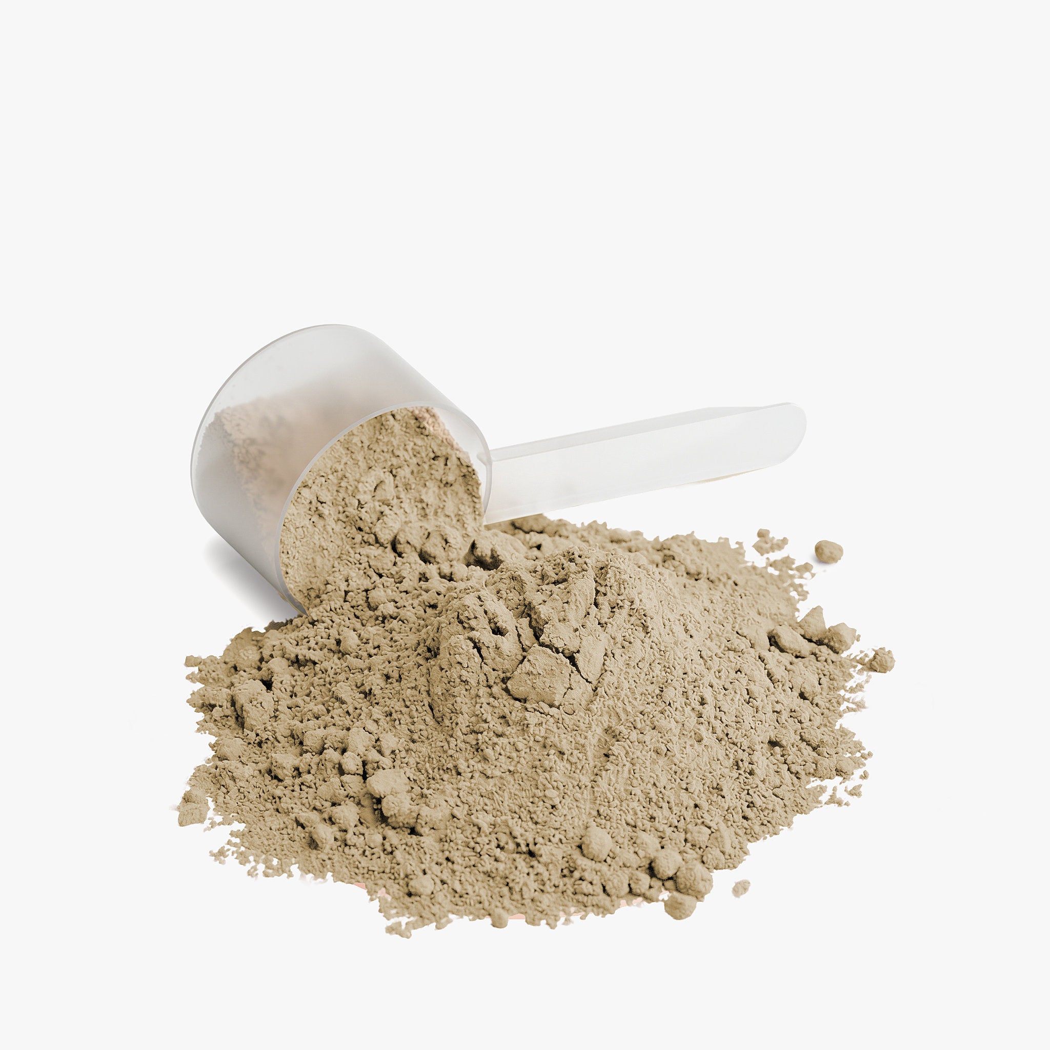 Anivol Plant-Based Protein Powder (Vanilla) | Dairy-Free, Soy-Free, 20g Protein