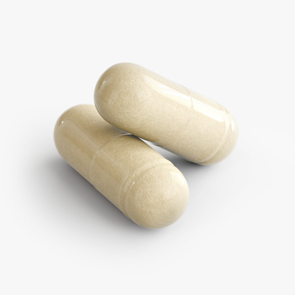 Anivol Gut Health Supplement | Prebiotic, Probiotic & Digestive Enzymes with Apple Cider Vinegar
