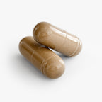 Anivol Milk Thistle & L-Cysteine Supplement | Liver Support with Turmeric & Beet Root