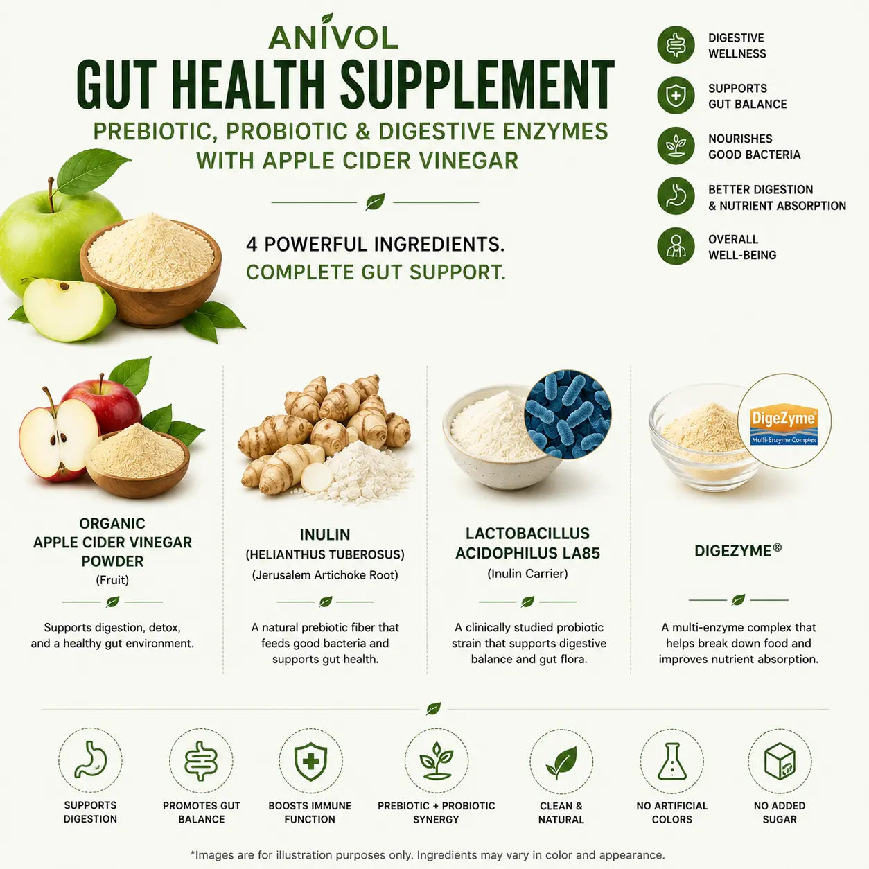 An informational product graphic for Anivol Gut Health Supplement, featuring apple and ginger imagery, text describing prebiotic, probiotic, and digestive enzyme ingredients, and six product panels with icons for digestive wellness, gut balance, nourishment, better digestion, overall well-being, and gut support benefits.