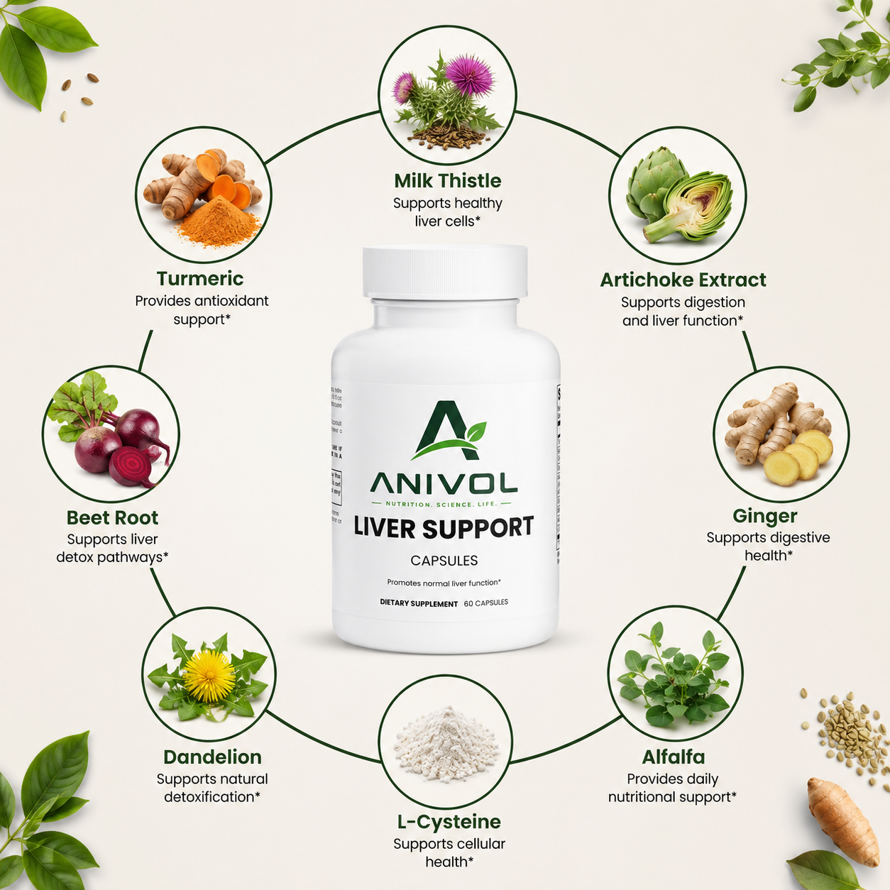 Anivol Liver Support Capsules infographic showing Milk Thistle, Turmeric, Beet Root, Dandelion, Artichoke Extract, Ginger, Alfalfa, and L-Cysteine for daily liver health support.