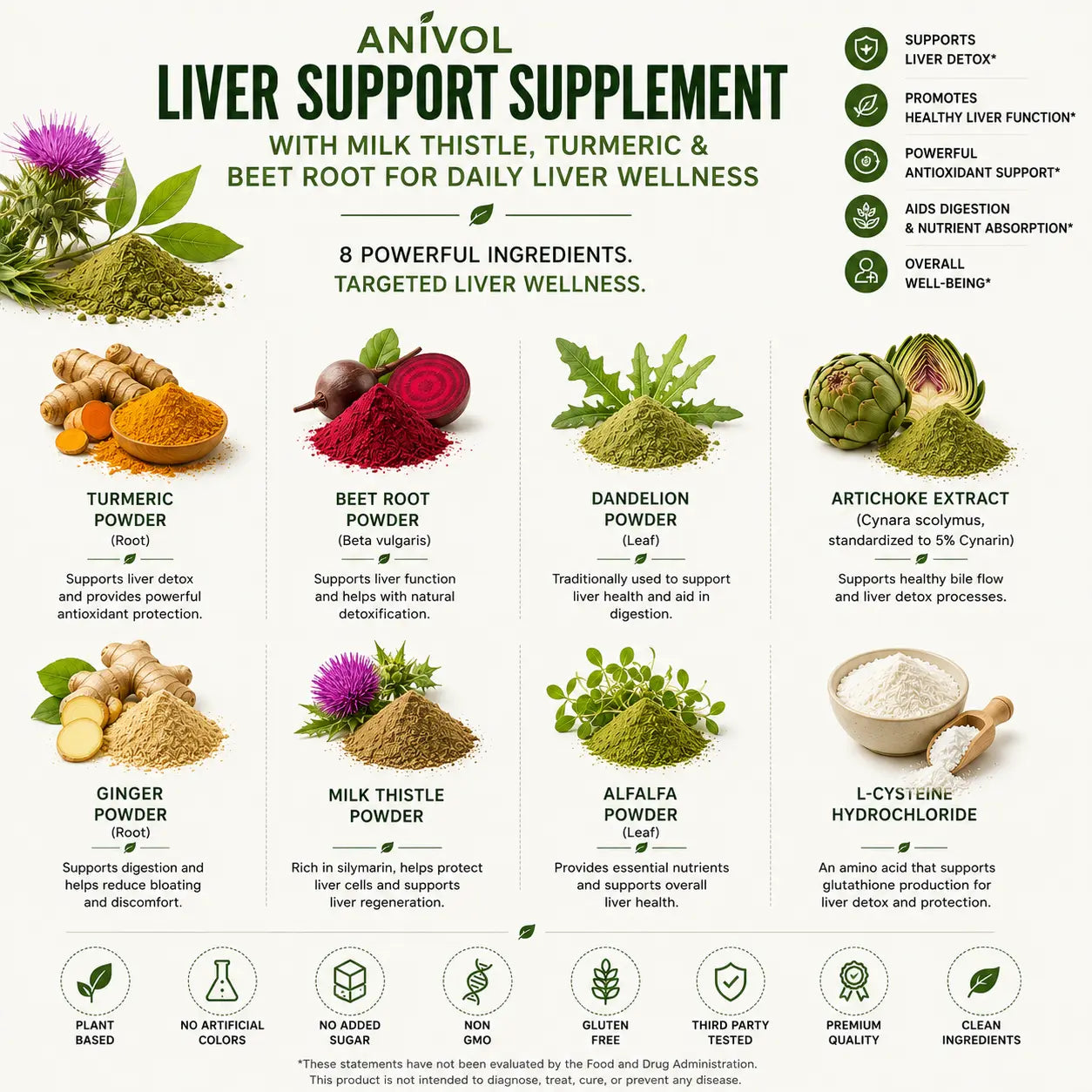 Infographic showing the key ingredients in Anivol Liver Support Supplement, including Milk Thistle, Turmeric, Beet Root, Dandelion, Artichoke Extract, Ginger, Alfalfa, and L-Cysteine to support daily liver wellness, antioxidant protection, and overall health as part of a balanced lifestyle.