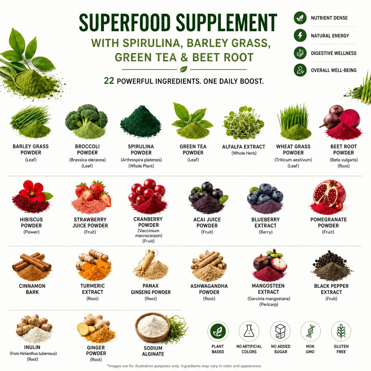 Infographic showing the key ingredients in Anivol Super Greens Powder, including Spirulina, Barley Grass, Green Tea, Beet Root, Wheat Grass, Broccoli, berries, adaptogenic herbs, and superfoods for daily nutrition and wellness support.