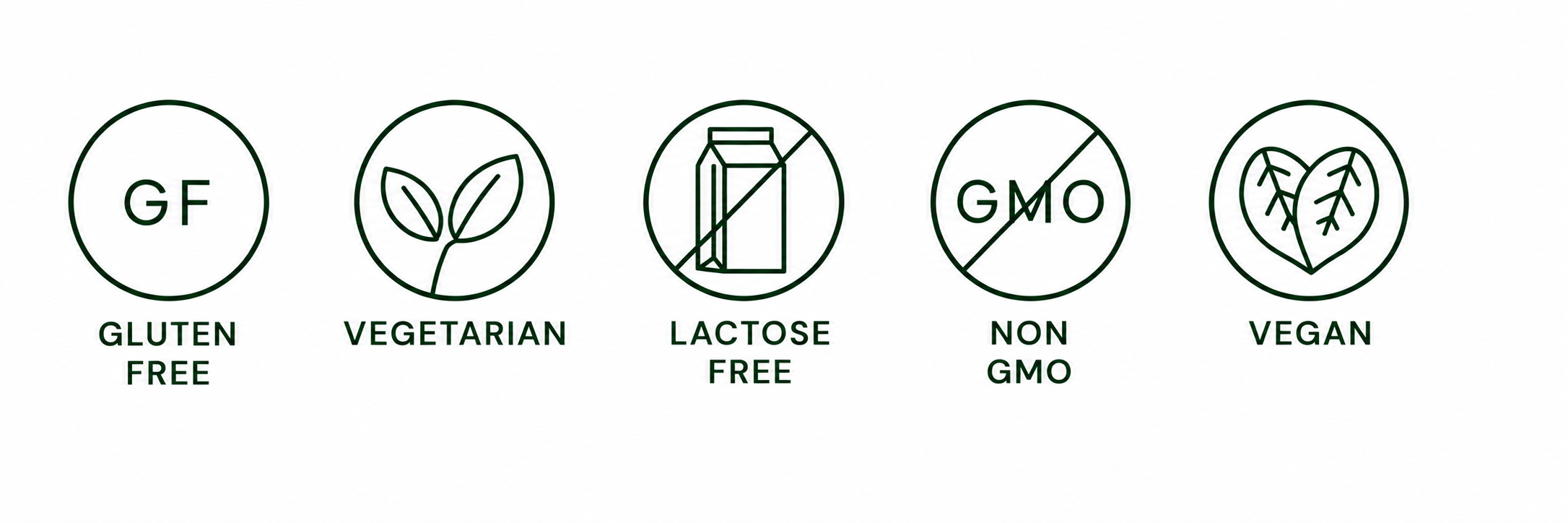 Icons highlighting Gluten Free, Vegetarian, Lactose Free, Non-GMO, and Vegan features of Anivol Plant Protein Vanilla powder.